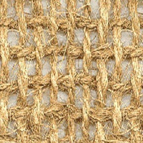 kokos400_2_kopie kokos400_2_kopie